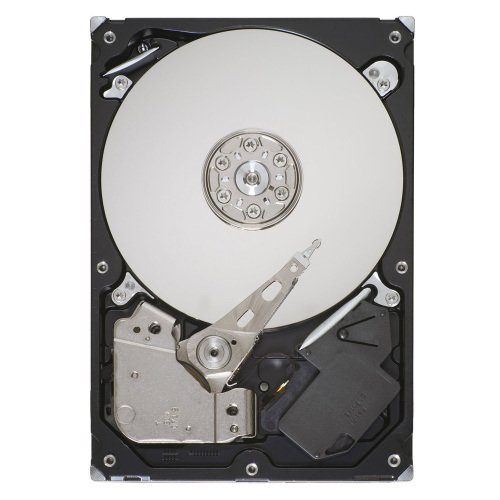  Seagate HDD ST31000528AS